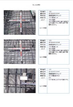 検査報告書サンプル画像